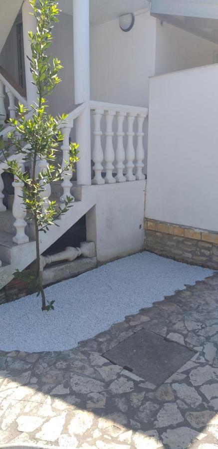 Apartman Zvoncica Vrsi Exterior photo